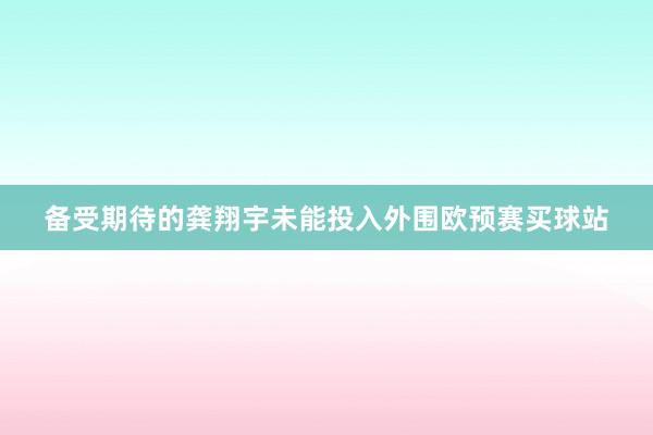 备受期待的龚翔宇未能投入外围欧预赛买球站