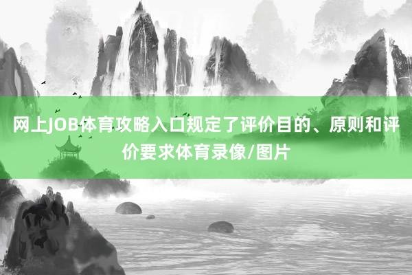 网上JOB体育攻略入口规定了评价目的、原则和评价要求体育录像/图片