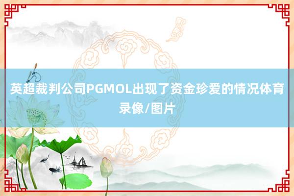 英超裁判公司PGMOL出现了资金珍爱的情况体育录像/图片