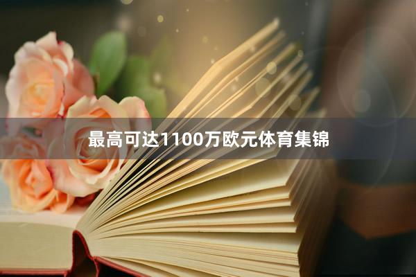 最高可达1100万欧元体育集锦