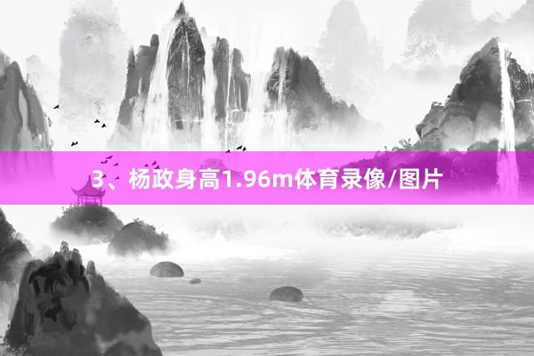 3、杨政身高1.96m体育录像/图片