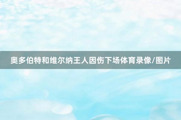 奥多伯特和维尔纳王人因伤下场体育录像/图片