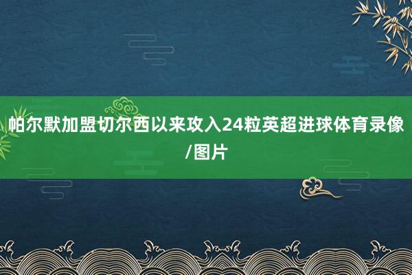 帕尔默加盟切尔西以来攻入24粒英超进球体育录像/图片